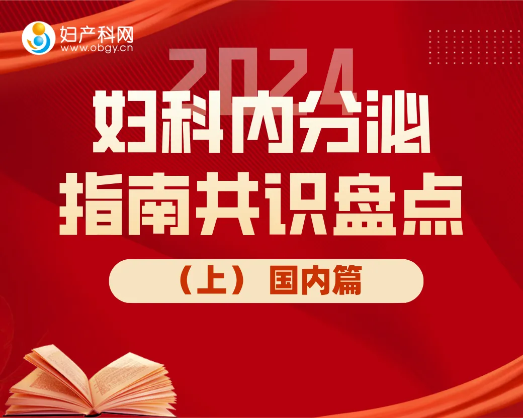 20241218817488.jpg 11.jpg